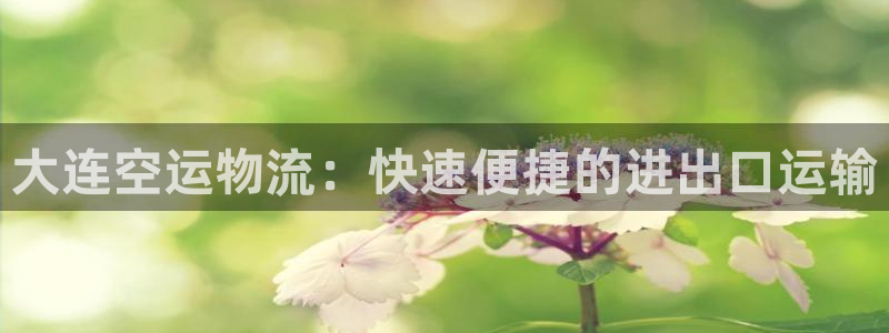 28圈注册链接教程：大连空运物流：快