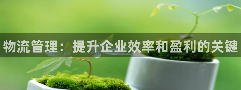 28圈怎么下载
