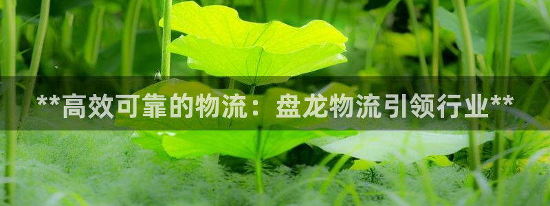28圈是正规软件吗
