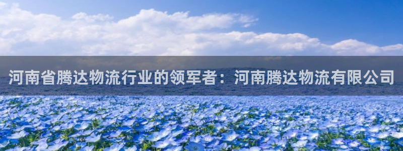 28圈注册账号：河南省腾达物流行业的