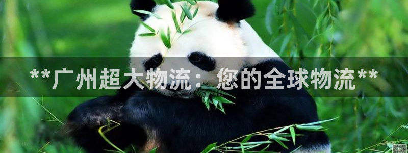 28圈加拿大怎么玩