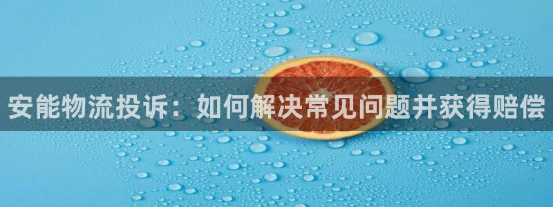 28圈官方网站是多少