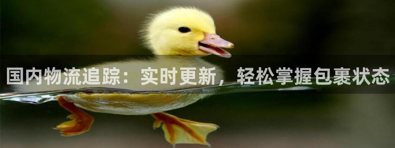 28圈下载二维码