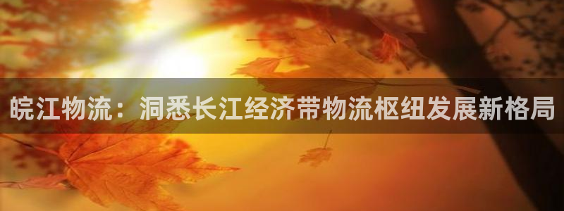 28圈pc预测