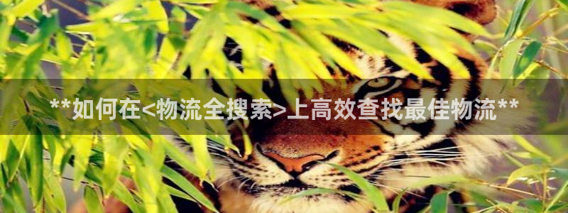 28圈.ccmpcios