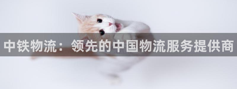 28圈昵称