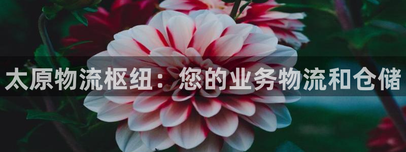 28圈注册条件：太原物流枢纽：您的业