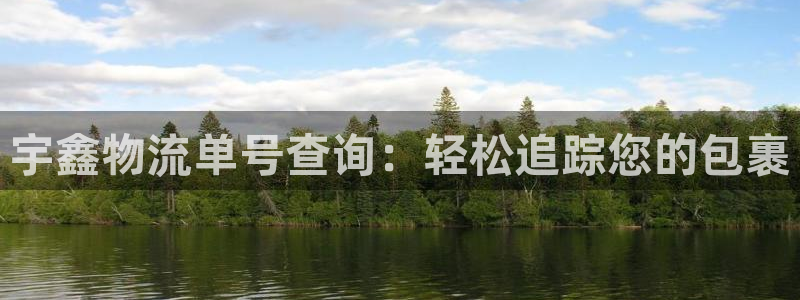 28圈注册限制怎么解除：宇鑫物流单号