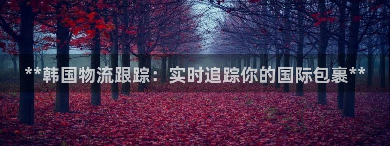 28圈能提现吗