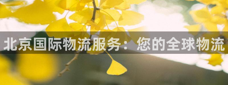 28圈黑款：北京国际物流服务：您的全