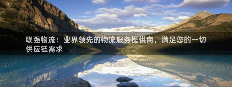 28圈注册官网：联强物流：业界领先的