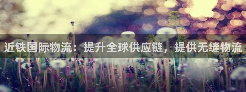 28圈退款