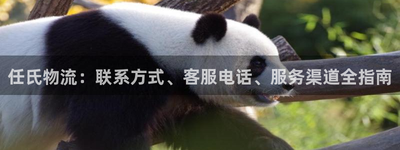 28圈自行车图片