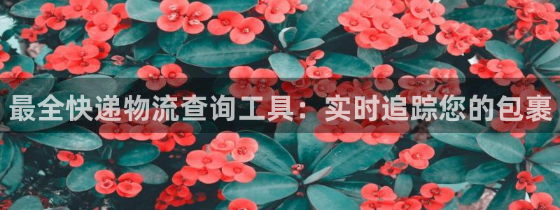 28圈官网链接：最全快递物流查询工具