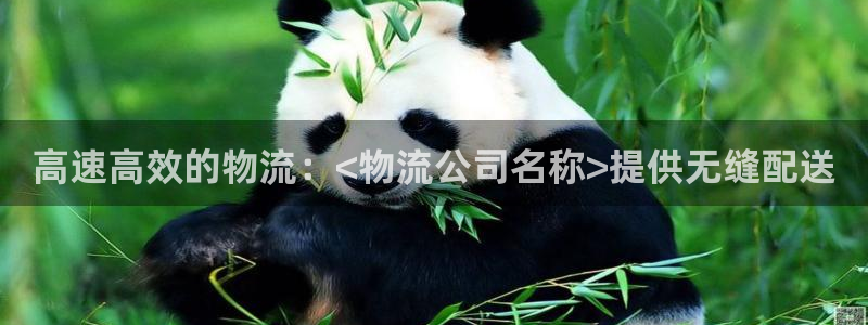 28圈预测：高速高效的物流：<物流公
