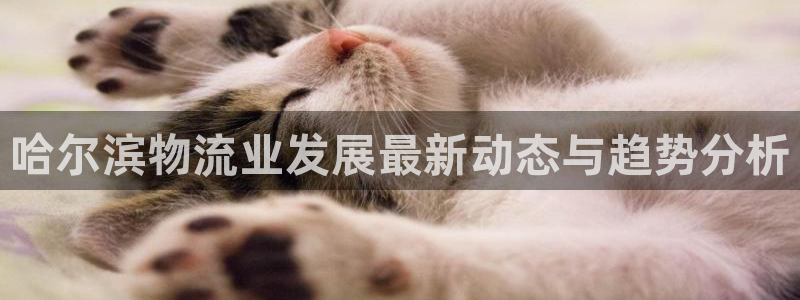 28圈p扣除