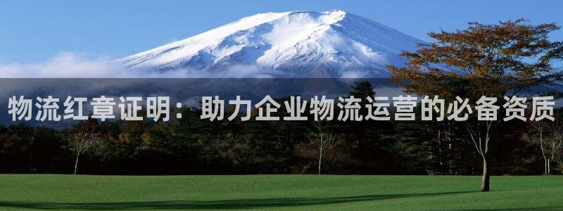 28圈注册上限是啥意思：物流红章证明