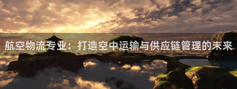 28圈注册与教程：航空物流专业：打造
