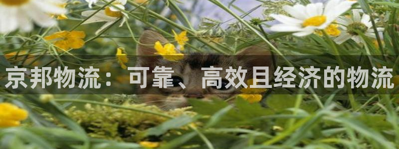 28圈网赌有什么风险