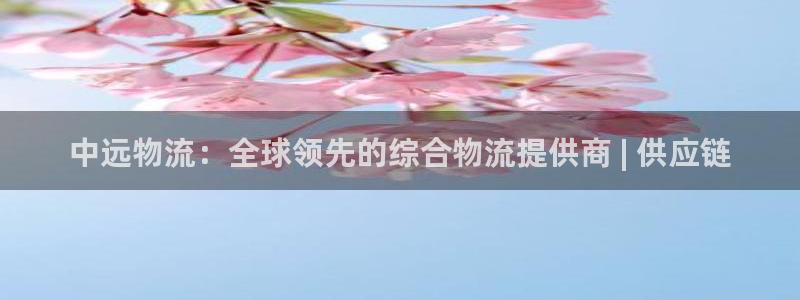 28圈链接