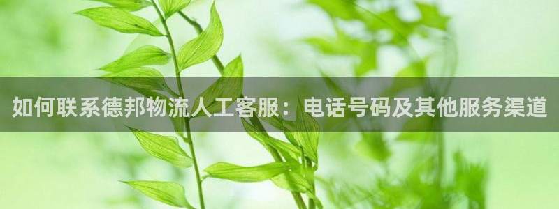 28圈注册链接入口：如何联系德邦物流