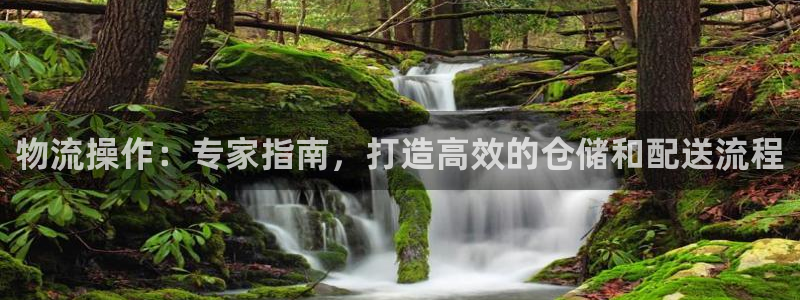 28圈预测