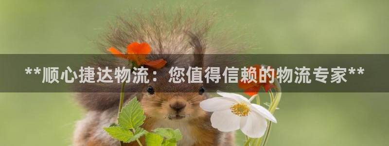 28圈游戏链接