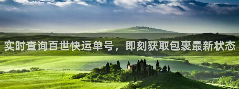28圈是什么软件：实时查询百世快运单