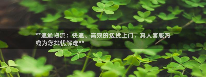 28圈注册登录链接流程：**速通物流