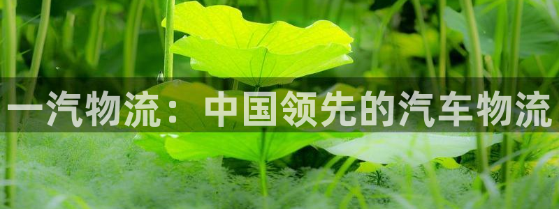 28圈新用户怎么注册：一汽物流：中国