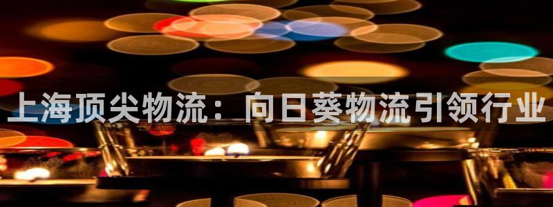 28圈怎么下载