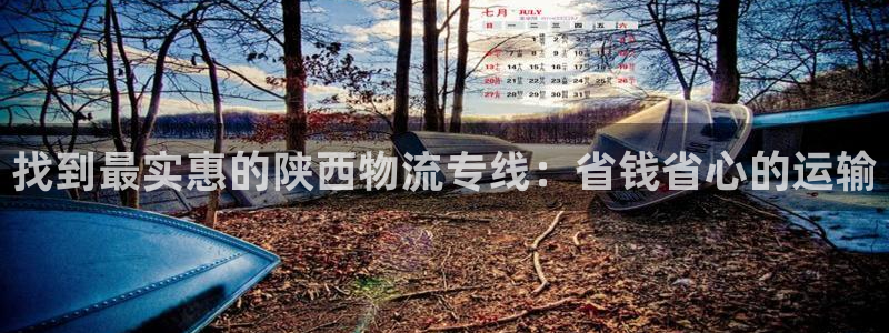 28圈官方版正版