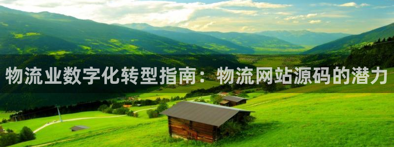 28圈充值不到账怎么办：物流业数字化