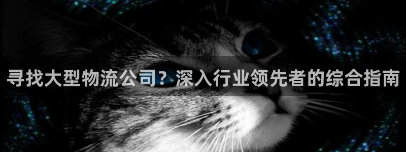 28圈p扣除是什么意思