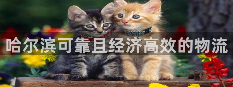 28圈麻将胡了爆分视频