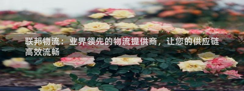 28圈注册账号：联邦物流：业界领先的