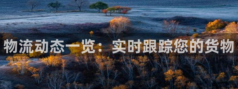 28圈加拿大预测