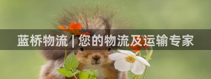 28圈昵称
