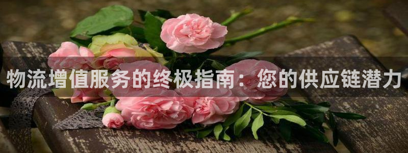 28圈官网注册：物流增值服务的终极指