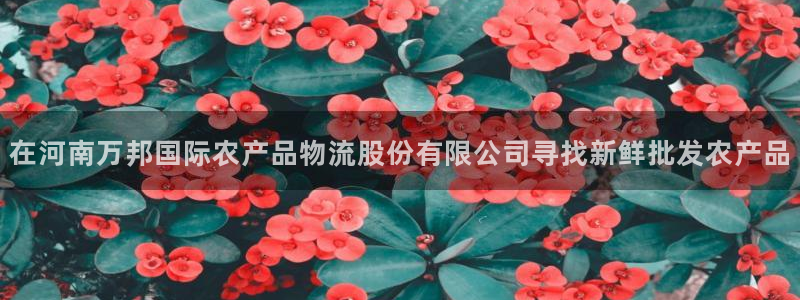 28圈娱乐官网网页下载
