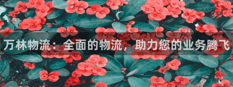 28圈游戏官网平台