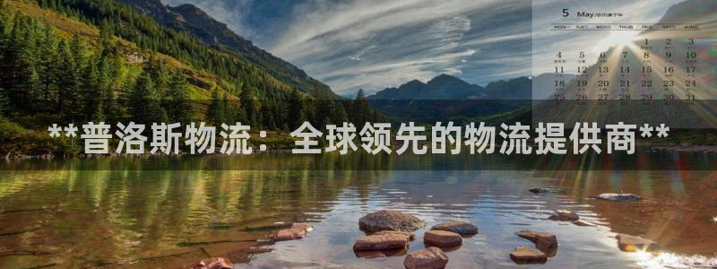 28圈注册流程：**普洛斯物流：全球