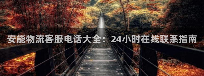 28圈怎么注册账号和密码：安能物流客