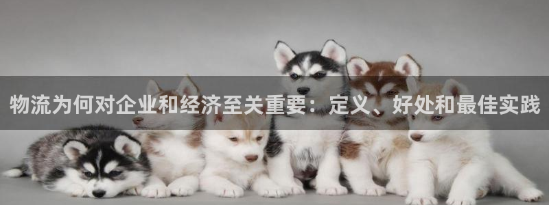 28圈是正规平台吗