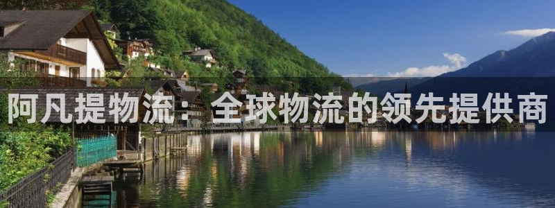 28圈连接：阿凡提物流：全球物流的领