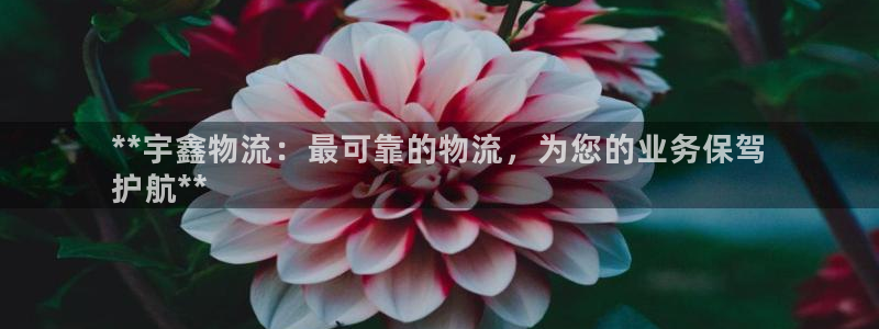 28圈反水