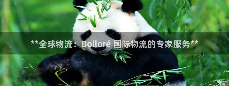 28圈注册网站链接：**全球物流：B