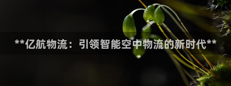28圈登录网：**亿航物流：引领智能