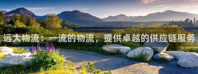 28圈登录网：远大物流：一流的物流，