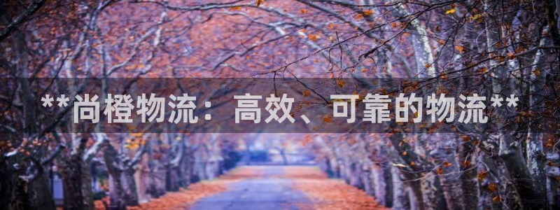 加拿大28圈数字规则：**尚橙物流：
